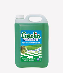 Solipro Carolin Professionnel Nettoyant Concentre Pin 5L thb