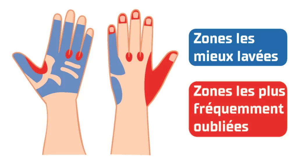 Hygiène des mains